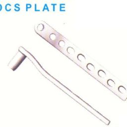 DCS Plate