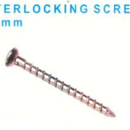 Interlocking Screw