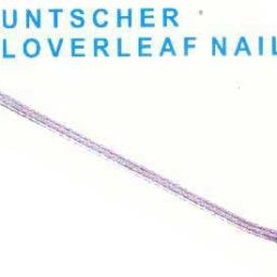 Kuntscher Cloverleaf Nail