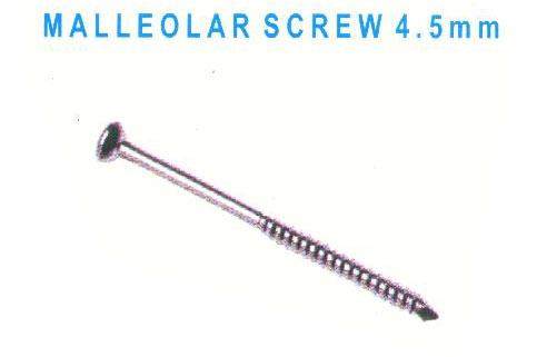 Malleollar Screw