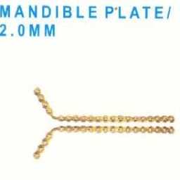 Mandible Plate