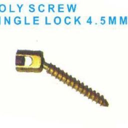 Poly Axial Screw