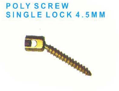 Poly Axial Screw_img_2929