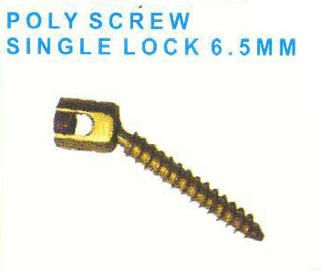 Poly Axial Screw_img_2930