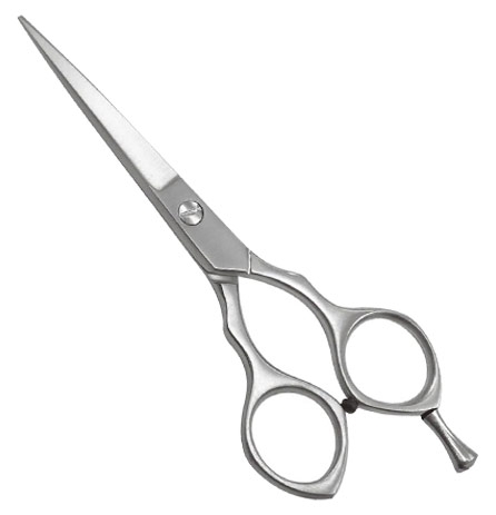Professional Barber Shears Butterfly
