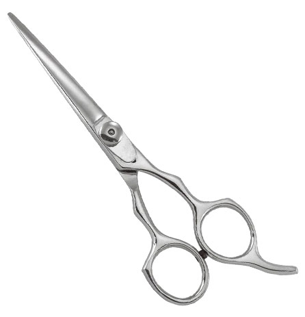 Professional Butterfly Style Shears