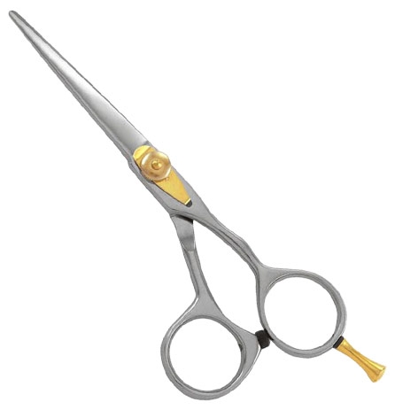 Professional Light Weight Shears