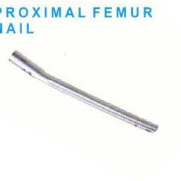 Proximal Femur Nail
