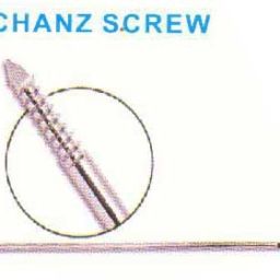 Schanz Screw
