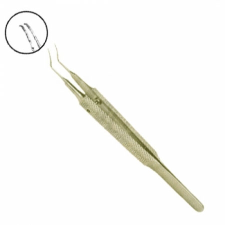 Straight Toothed Forcep