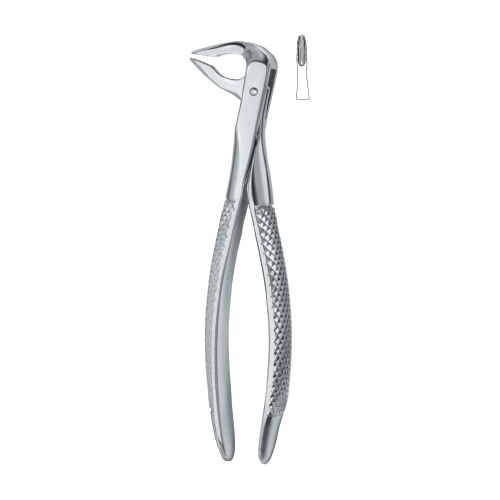 Tooth Ext Forceps _img_64